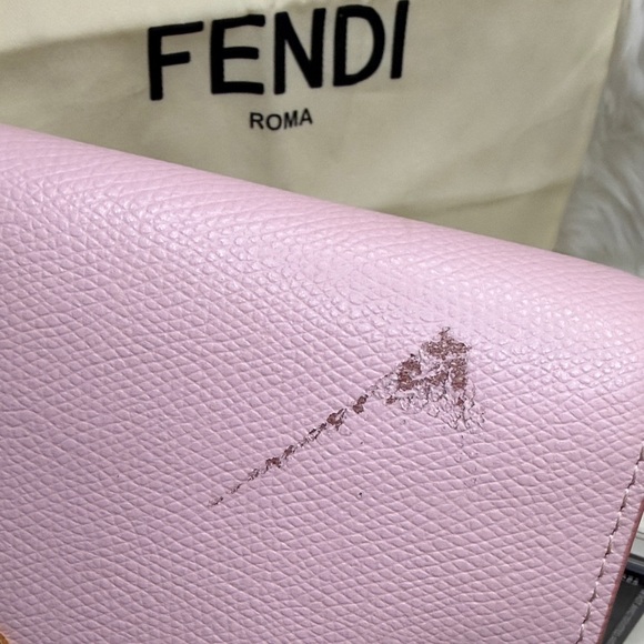 Fendi WOC - Picture 8 of 12